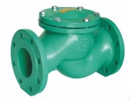 Обратный клапан RP1 1/2&quot; GG25